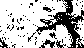 0011.gif (1297 bytes)