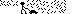 072.gif (969 bytes)