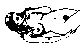 nowa54.gif (1169 bytes)