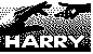 nowa8.gif (1413 bytes)