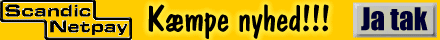 Scandic Netpay